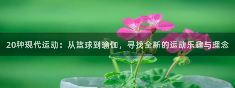 米兰体育网页版：20种现代运动：从篮球到瑜伽，寻找全新的运动乐趣与理念