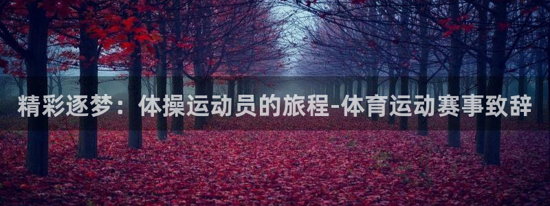 米兰体育下载：精彩逐梦：体操运动员的旅程-体育运动赛事致辞
