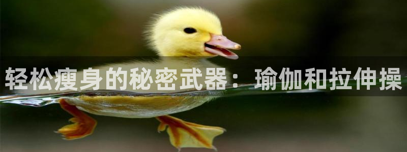 米兰体育下载官网最新版：轻松瘦身的秘密武器：瑜伽和拉伸操