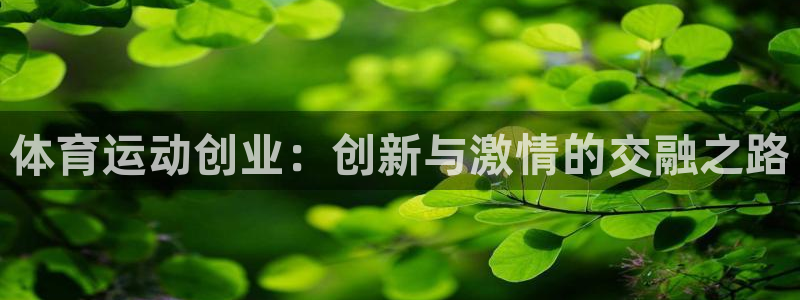 米兰体育报官网：体育运动创业：创新与激情的交融之路