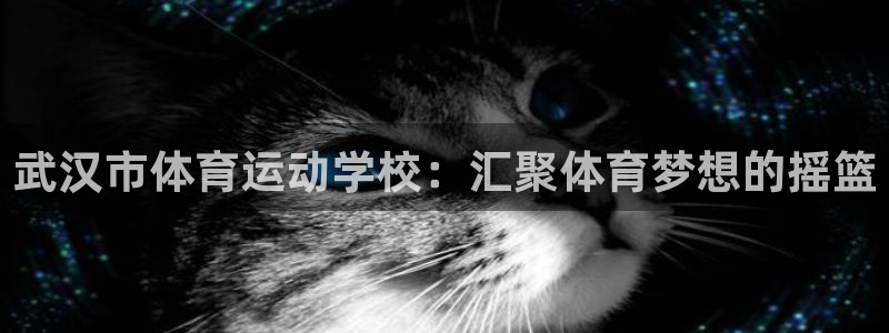 米兰体育怎么样：武汉市体育运动学校：汇聚体育梦想的摇篮