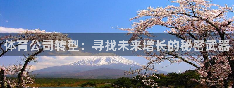 米兰体育.：体育公司转型：寻找未来增长的秘密武器