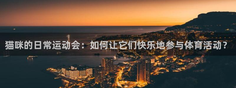 米兰体育.：猫咪的日常运动会：如何让它们快乐地参与体育活动？