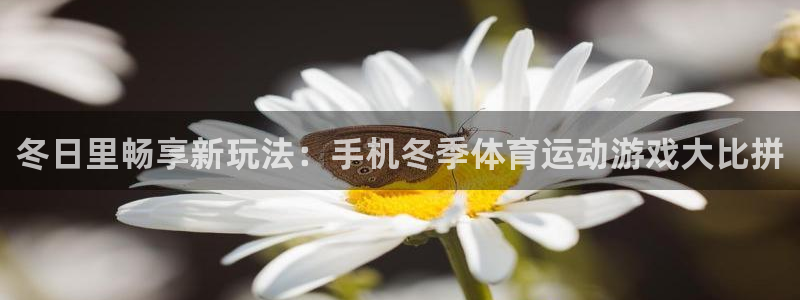 米兰体育：冬日里畅享新玩法：手机冬季体育运动游戏大比拼
