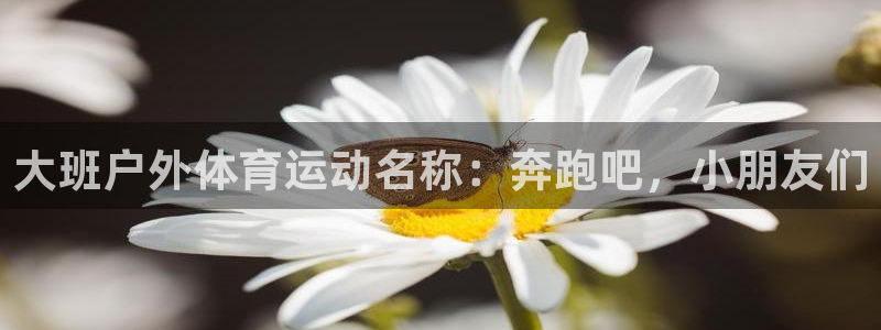 米兰体育入口：大班户外体育运动名称：奔跑吧，小朋友们