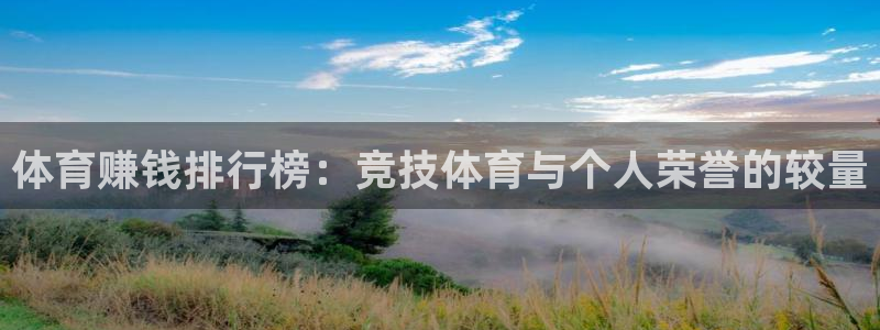 米兰体育最新版下载：体育赚钱排行榜：竞技体育与个人荣誉的较量
