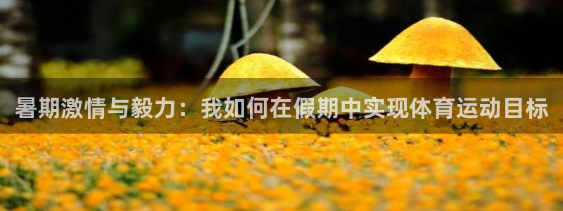 米兰体育登录：暑期激情与毅力：我如何在假期中实现体育运动目标