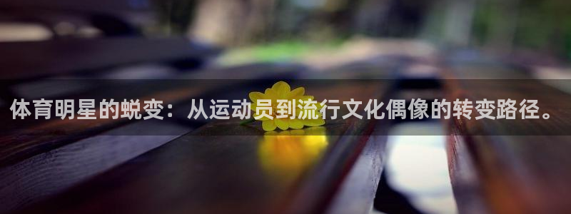 米兰体育.：体育明星的蜕变：从运动员到流行文化偶像的转变路径。