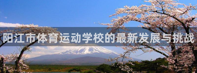 米兰体育官方下载入口：阳江市体育运动学校的最新发展与挑战