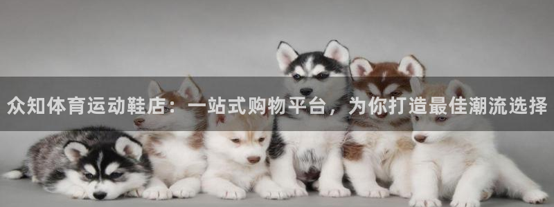 米兰体育.：众知体育运动鞋店：一站式购物平台，为你打造最佳潮流选择
